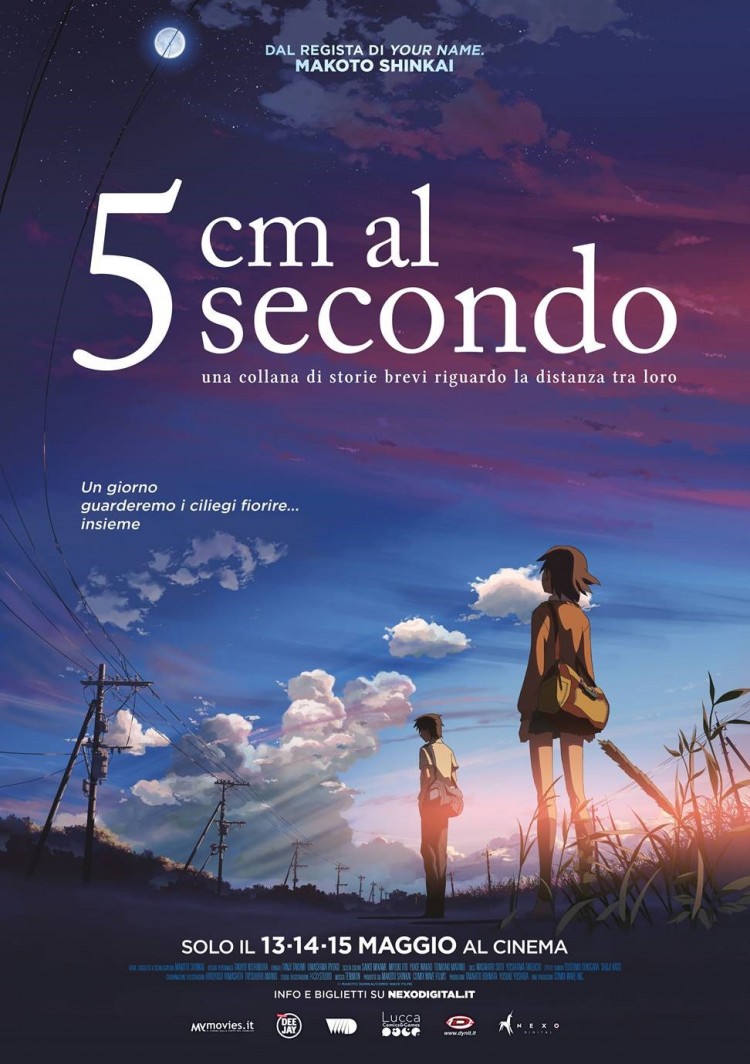 5 cm